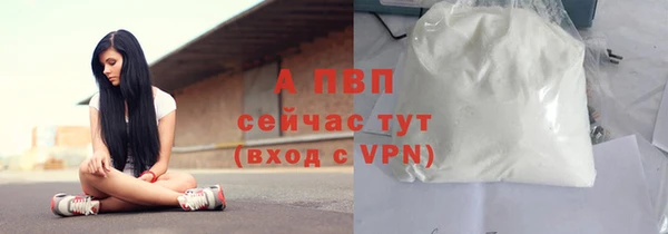спиды Надым