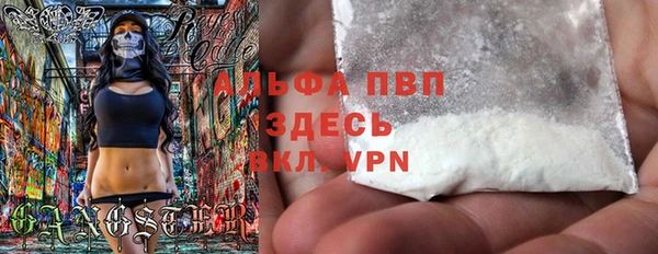 ECSTASY Новозыбков