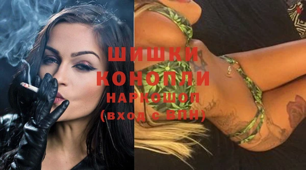 ECSTASY Новозыбков