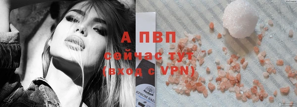 ECSTASY Новозыбков