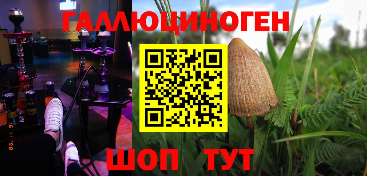 Комсомольск-на-Амуре  Псилоцибиновые грибы мухоморы  Вход с VPN 
