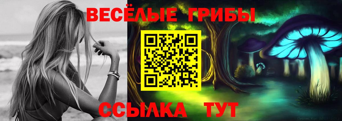 Псилоцибиновые грибы Psilocybine cubensis Комсомольск-на-Амуре